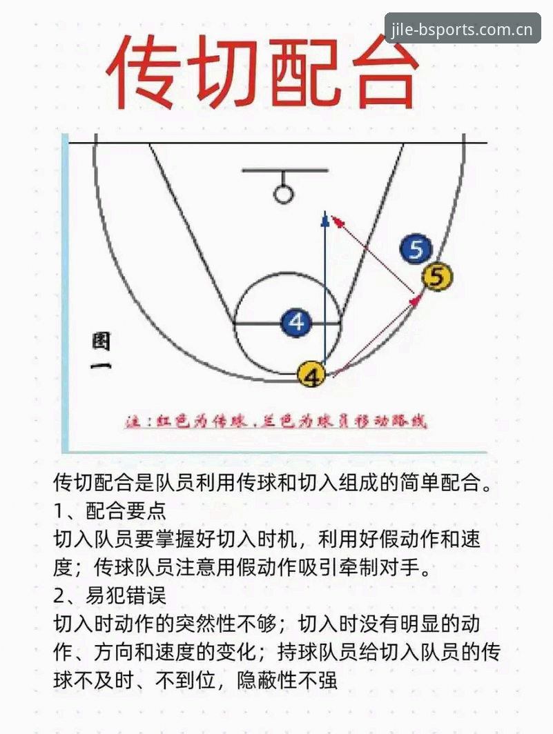 揭秘B体育投注指南使用指南：老用户分享的实战经验与隐藏技巧